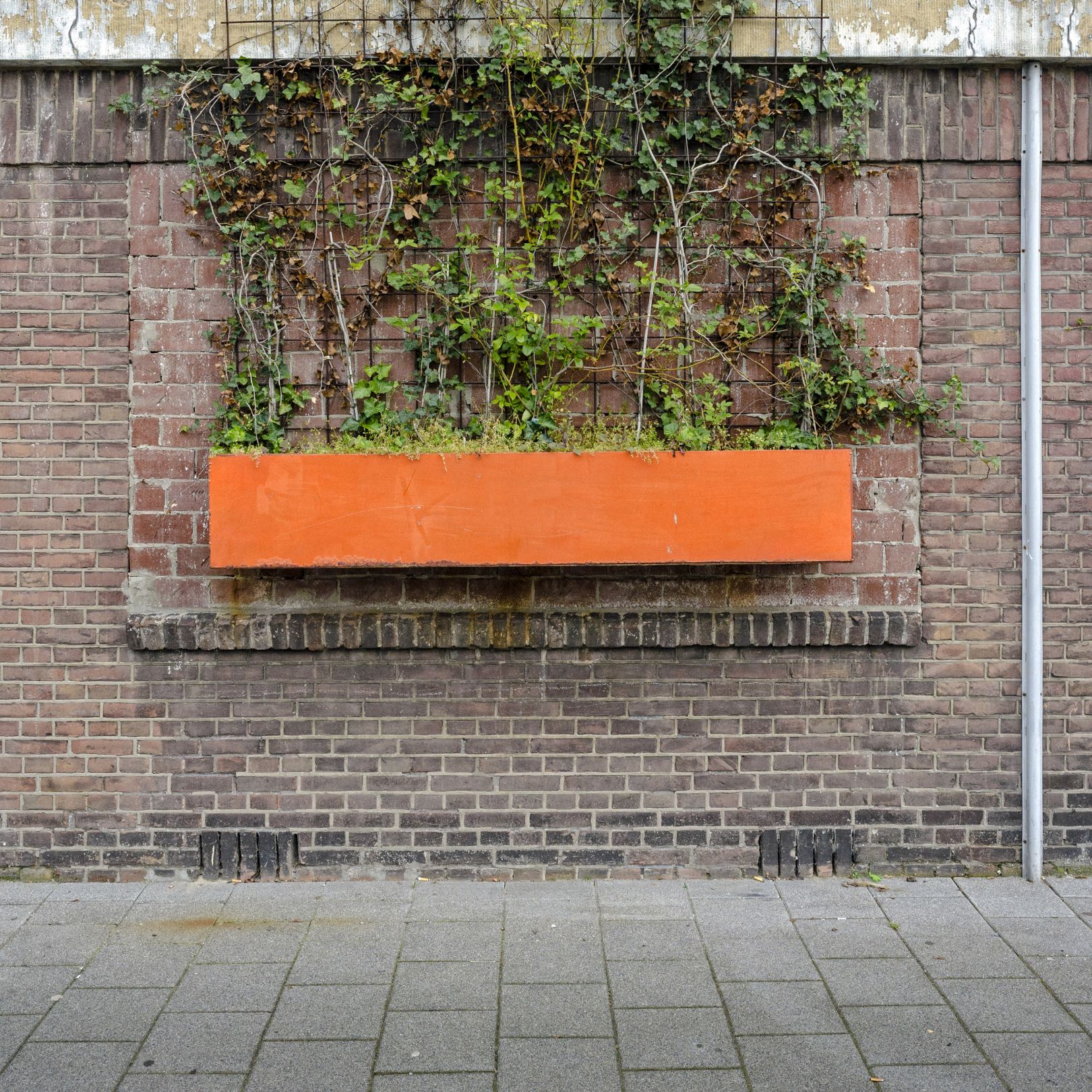 Абстрактные фотографии стен Маартена Вроманса (Maarten Vromans) запечатлели, как люди и природа влияют на городскую среду