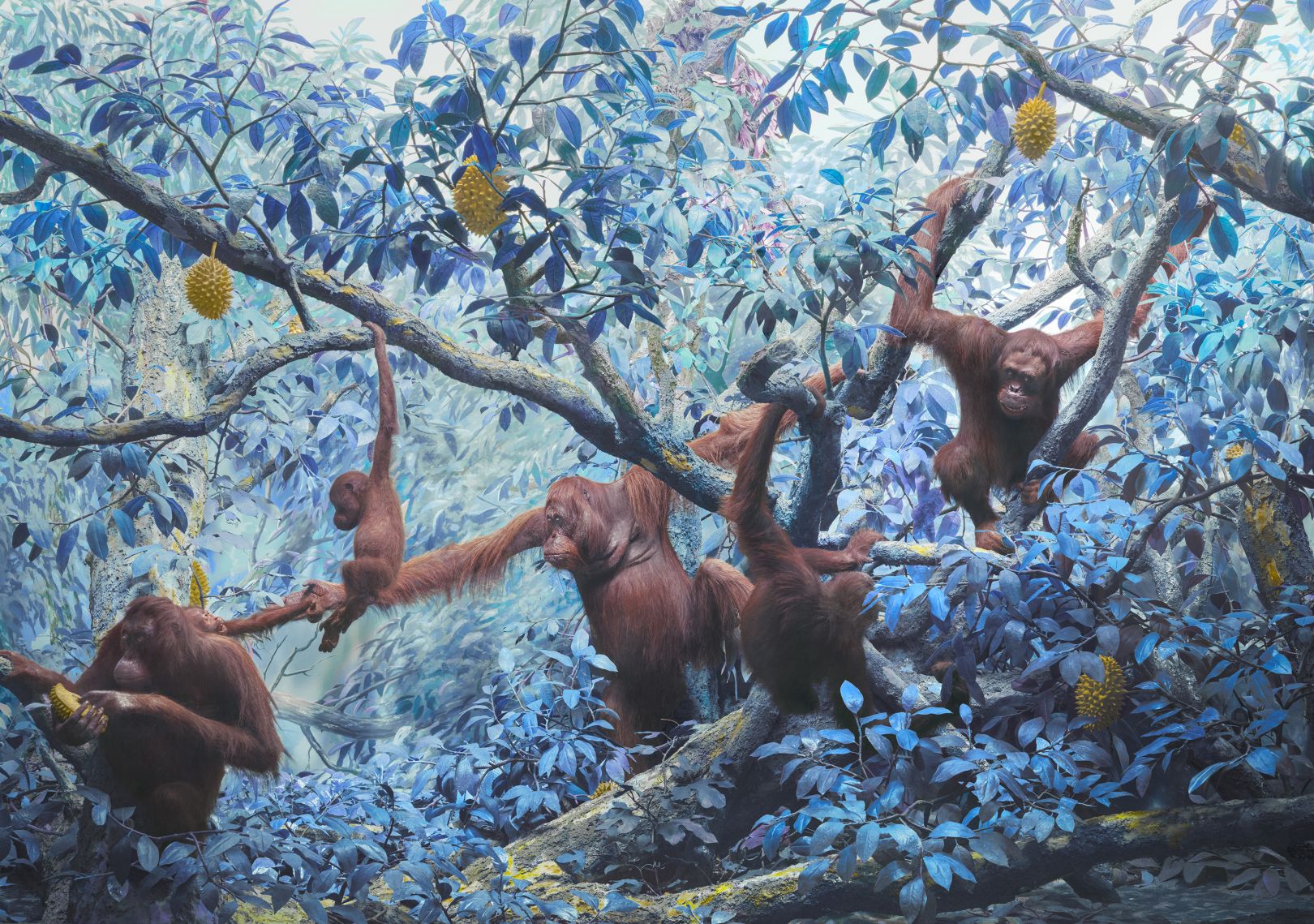 Сюрреалистические цифровые картины Джима Нотена (Jim Naughten) подчеркивают дикую природу